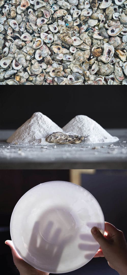 Porcelaine à base de coquilles d'huître
